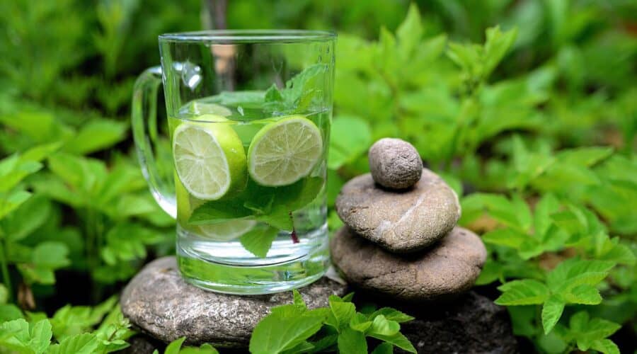 Holistic Detox Cleanse